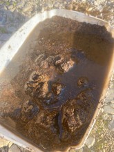 Nos prestations sur le secteur de Eguilles Bouches du Rhône